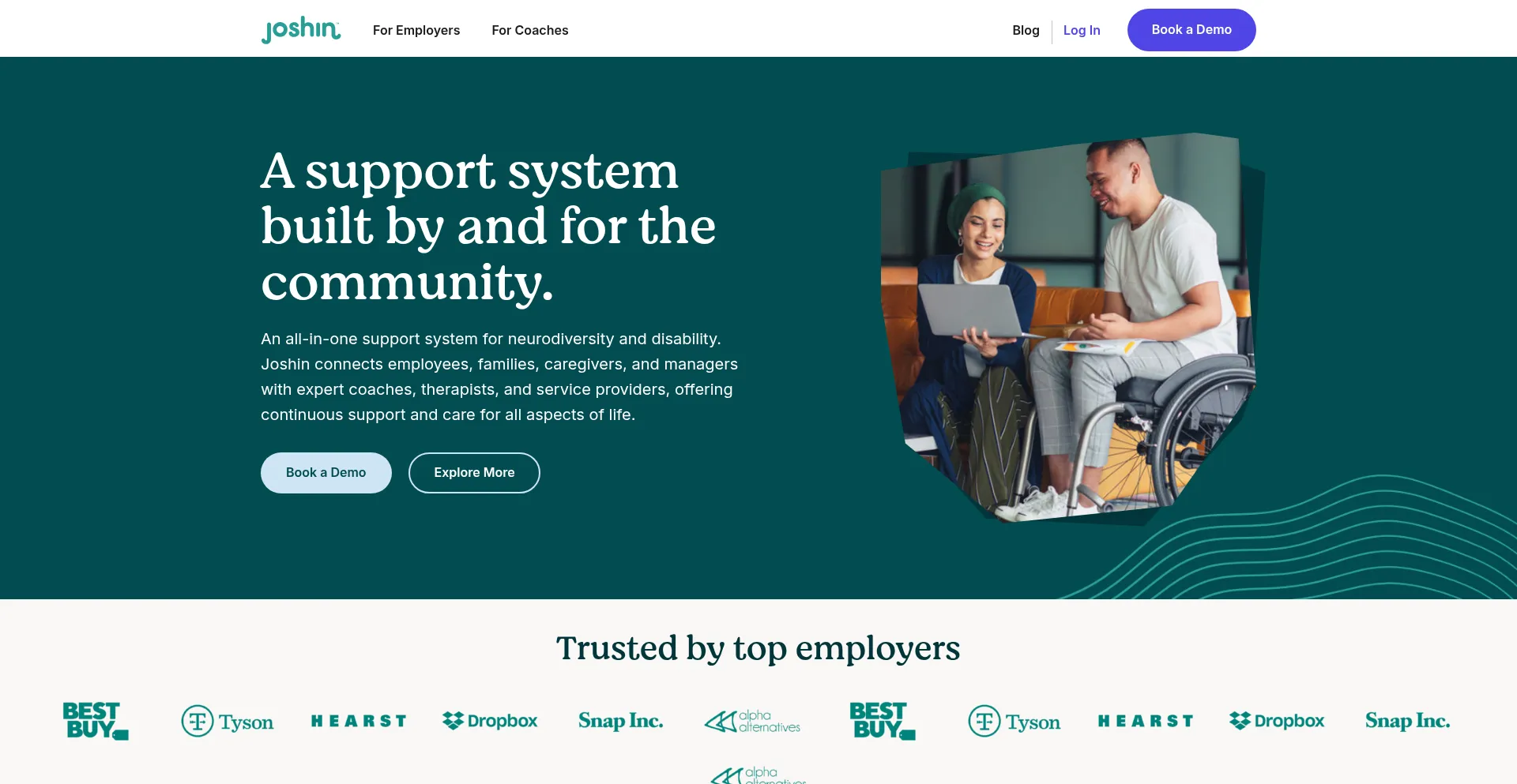 Website screenshot of Joshin.com