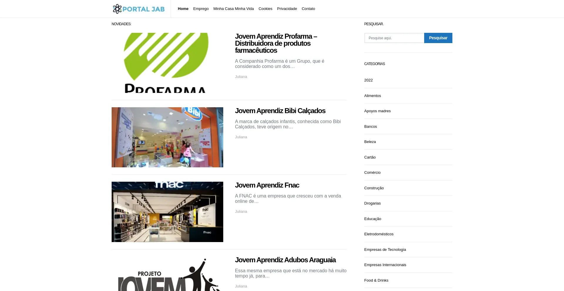 Website screenshot of Jovemaprendizbrasil.net