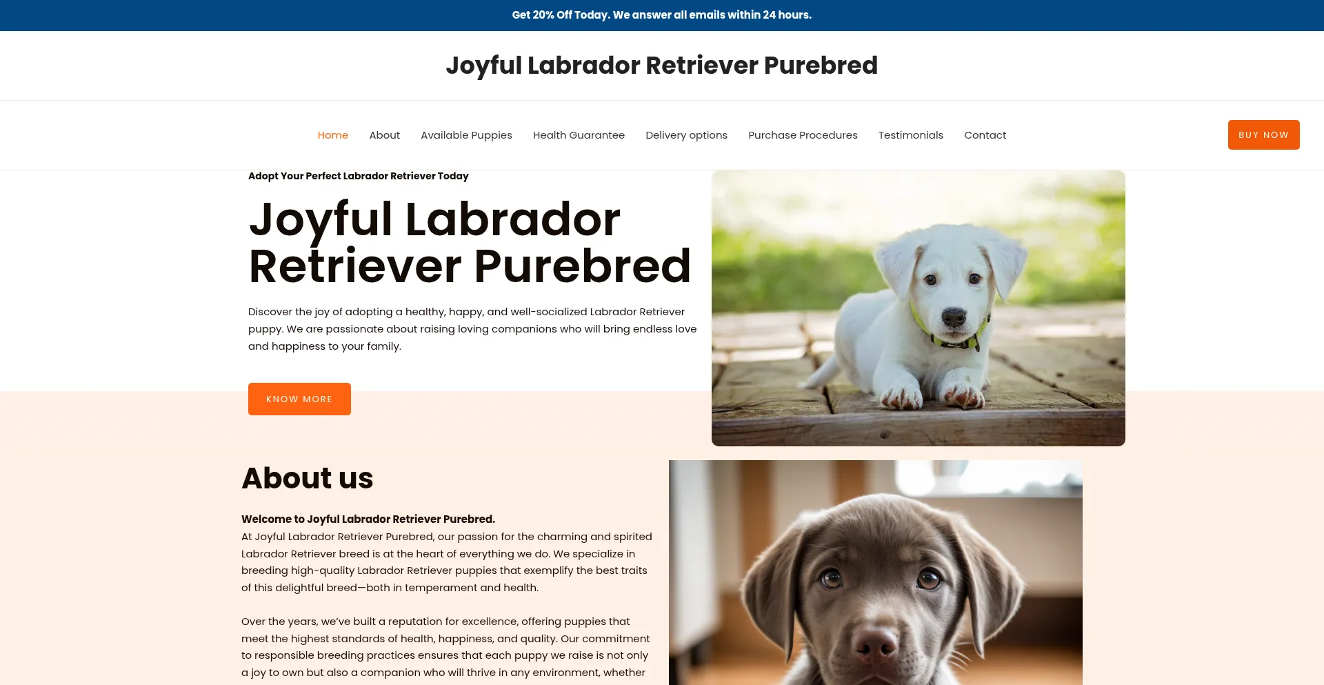 Joyfullabradorretrieverpurebred.com