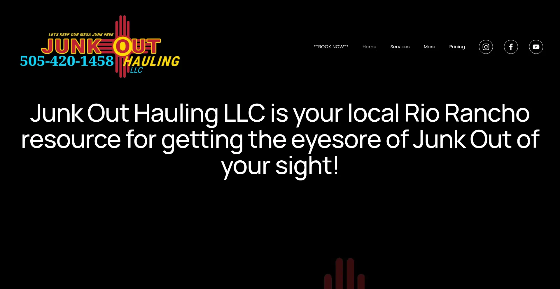 Junkoutnm.com