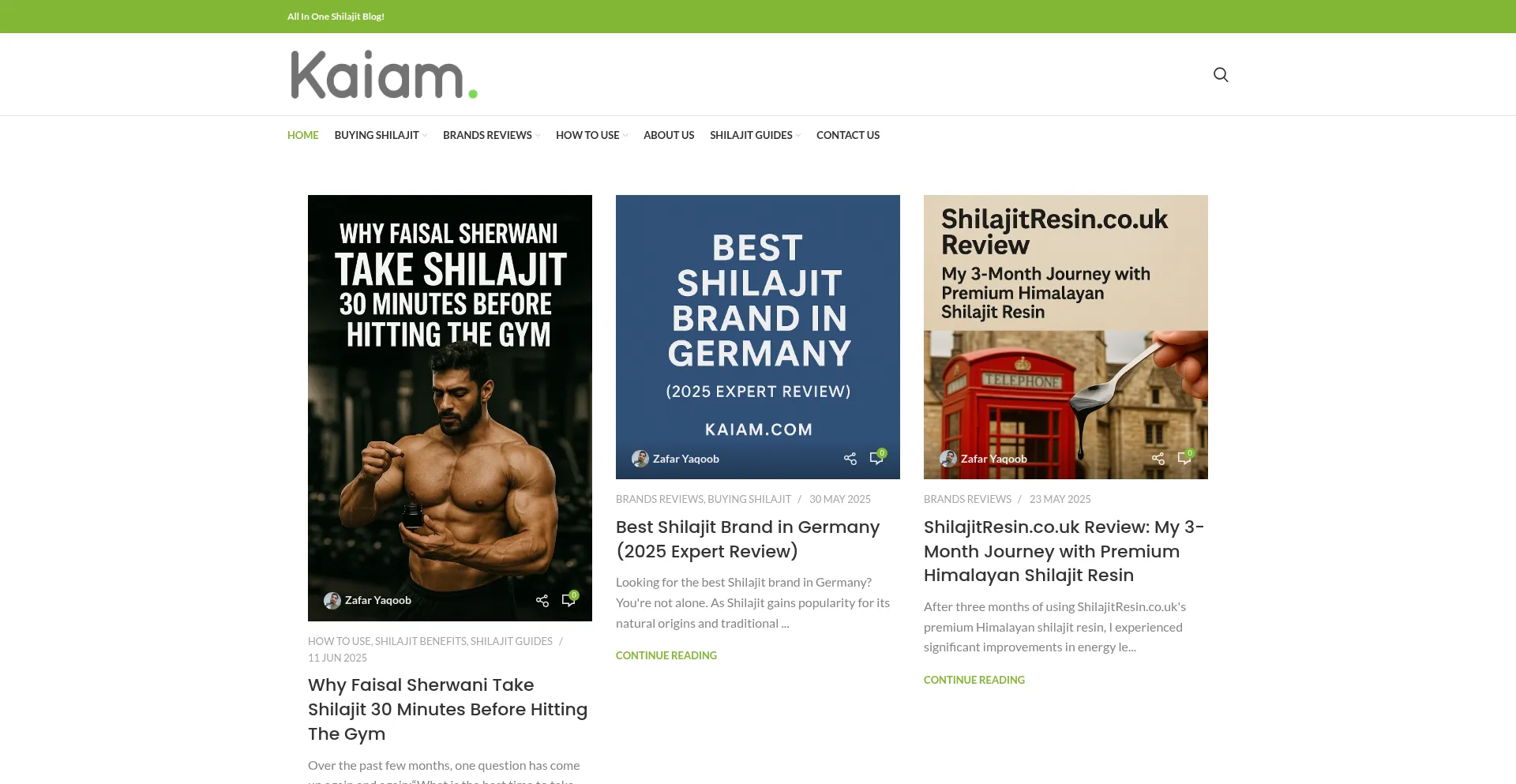 Website screenshot of Kaiam.com