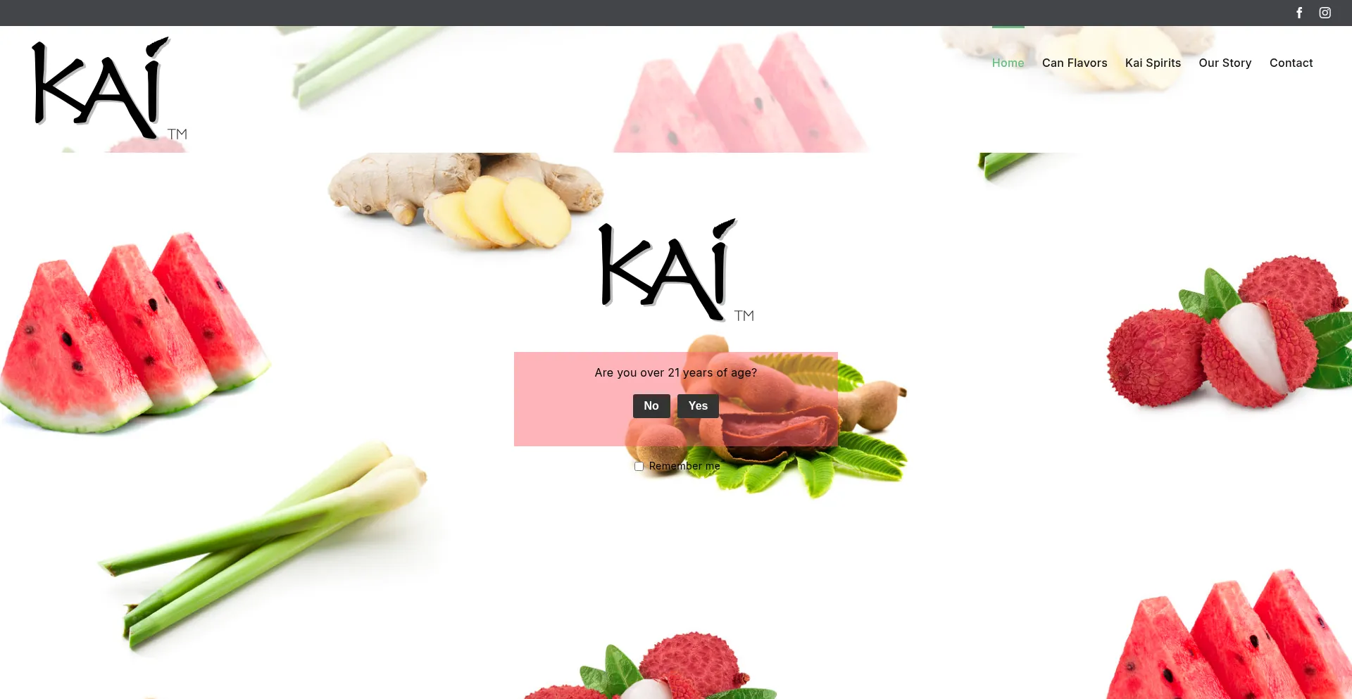 Website screenshot of Kaivodka.com