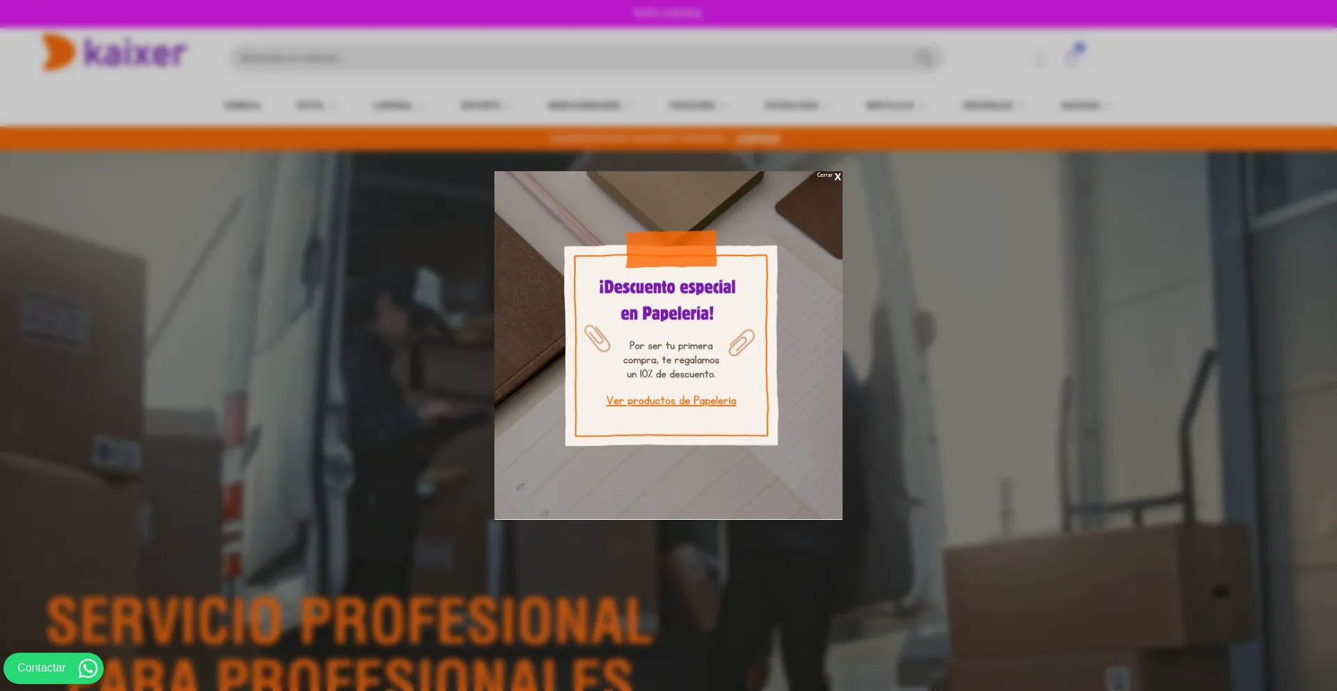 Website screenshot of Kaixerstore.com