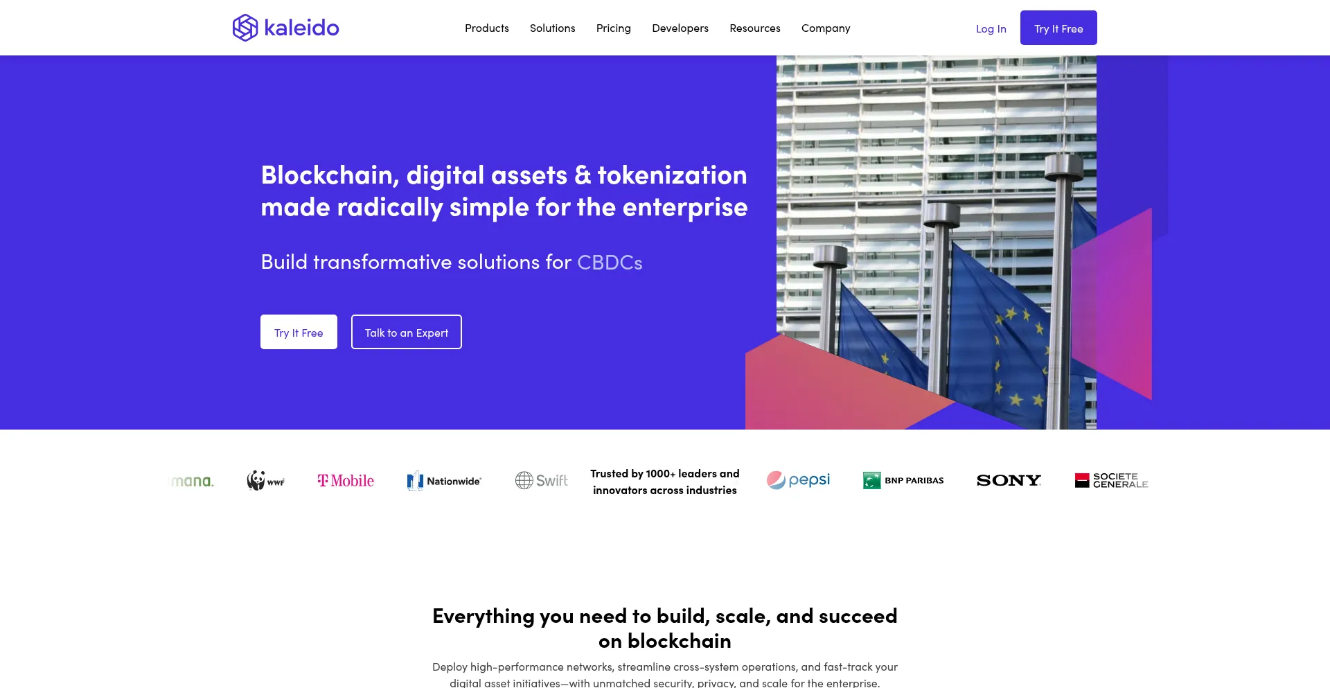 Website screenshot of Kaleido.io