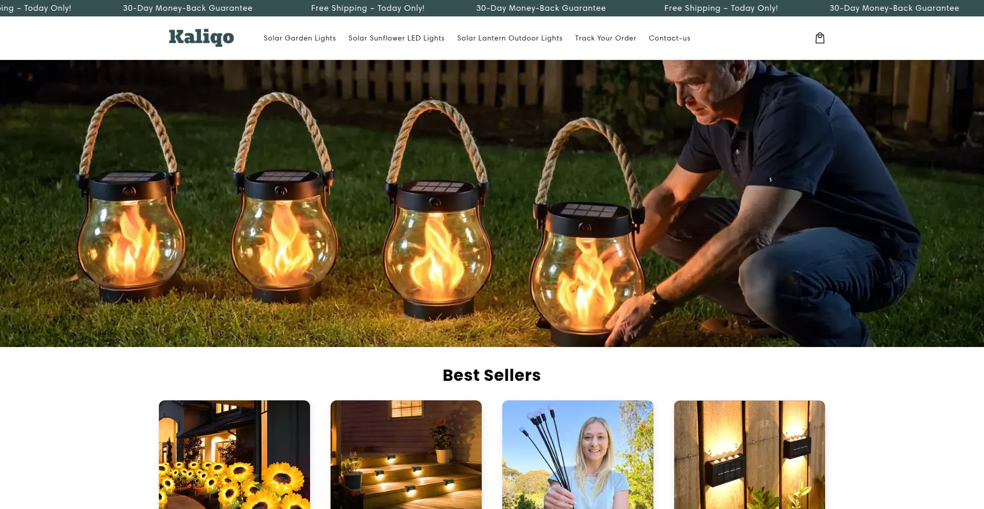 Website screenshot of Kaliqo.com
