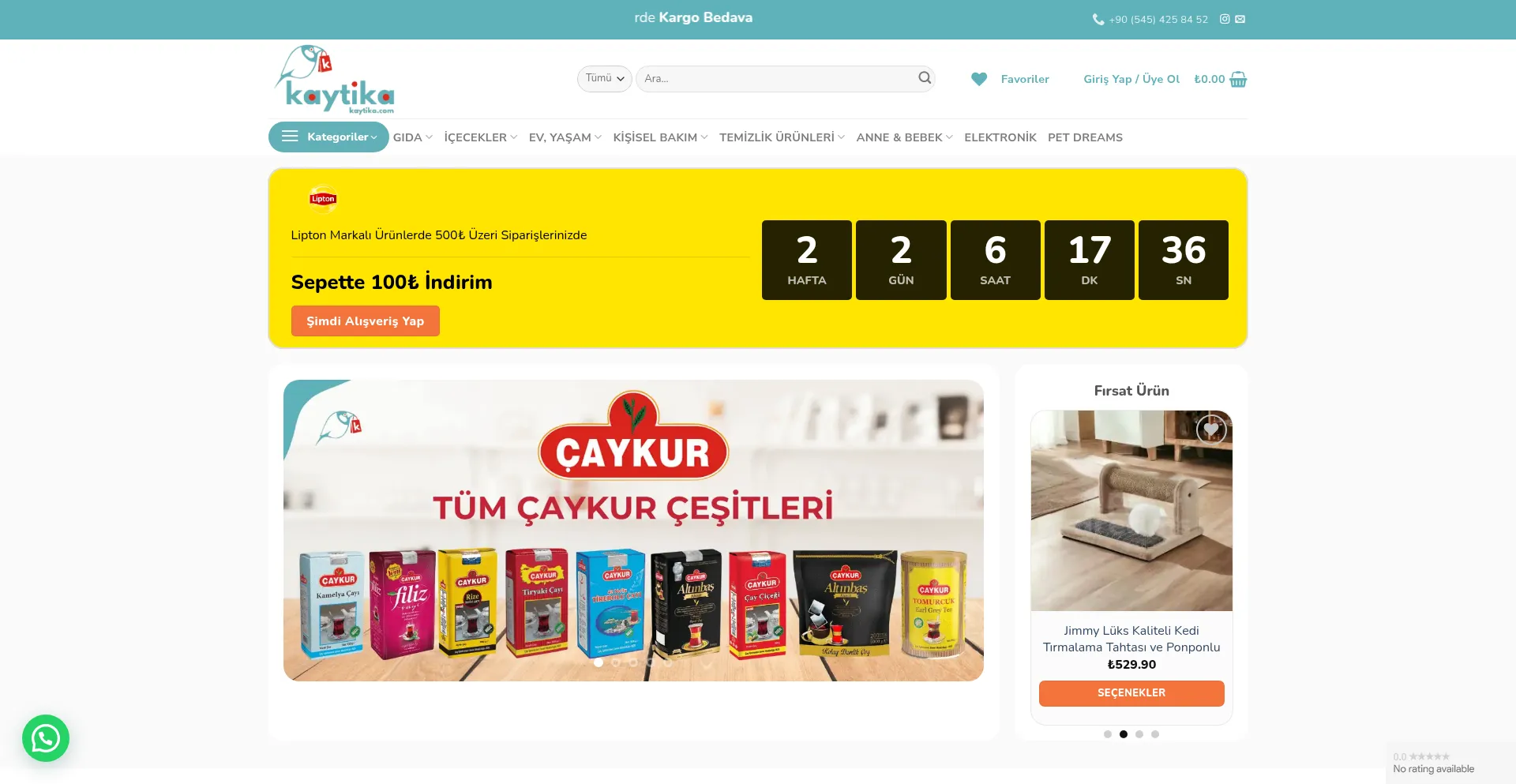 Website screenshot of Kaytika.com
