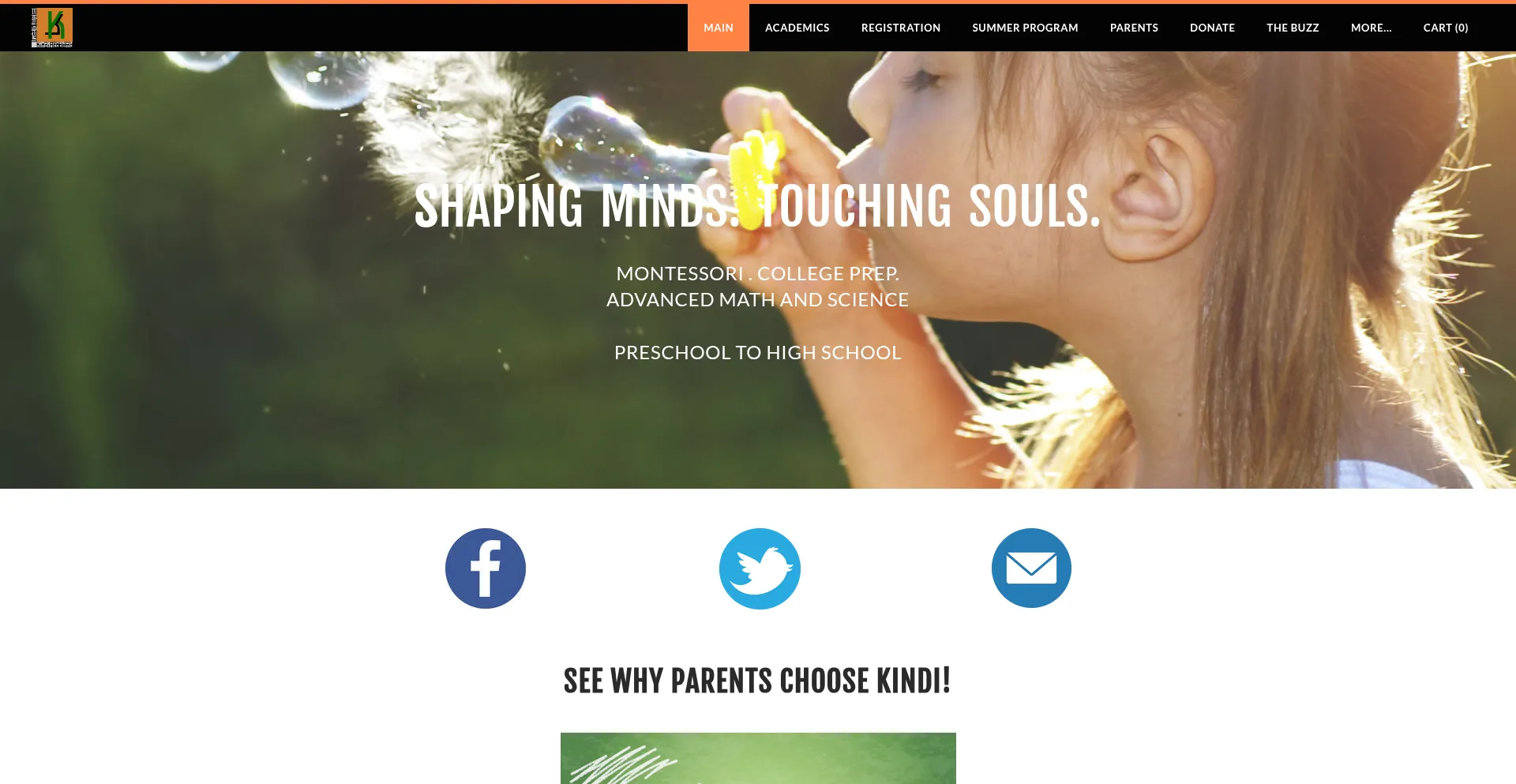 Website screenshot of Kindiacademy.com