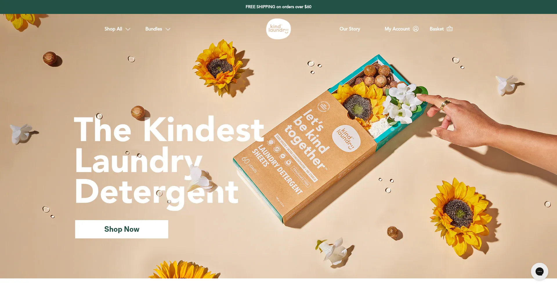 Website screenshot of Kindlaundry.com
