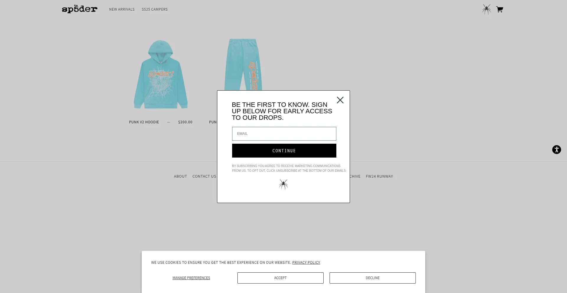 Website screenshot of Kingspider.com