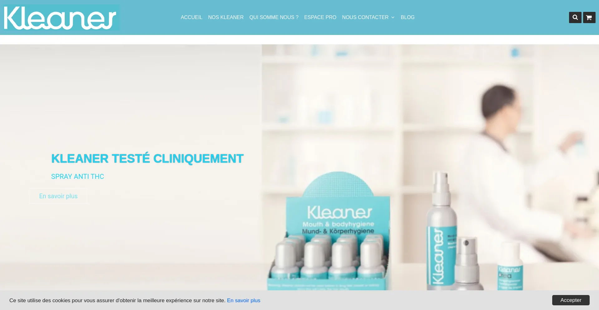 Website screenshot of Kleaner.net