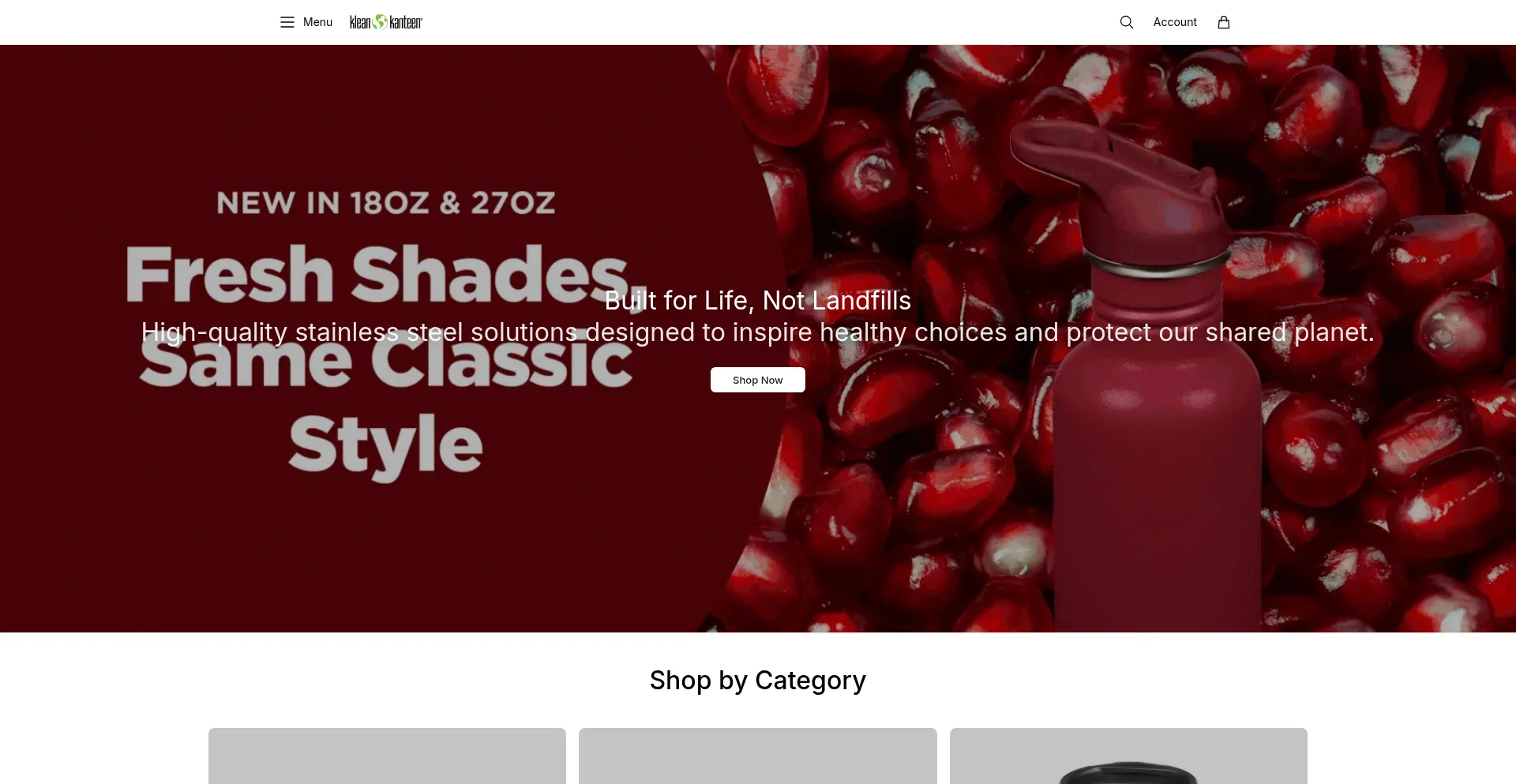 Kleankanteenco.shop