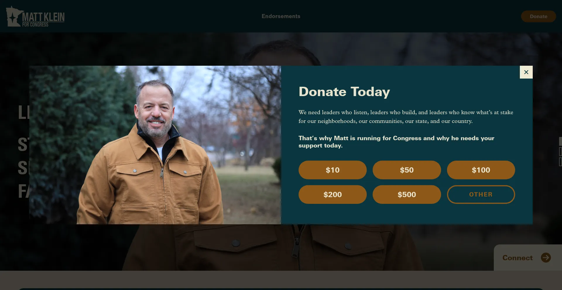 Website screenshot of Kleinforcongress.com