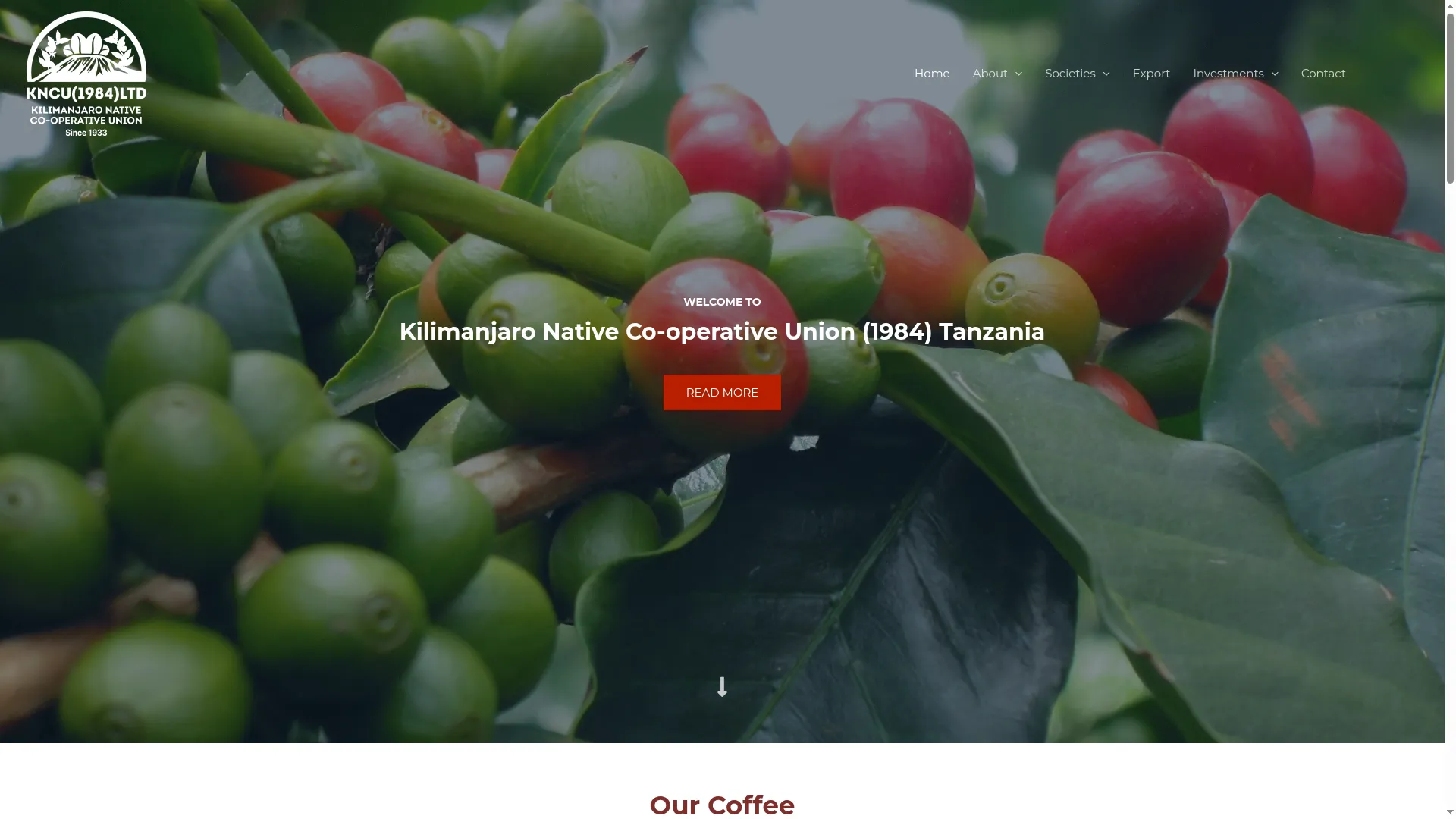 Kncutanzania.com