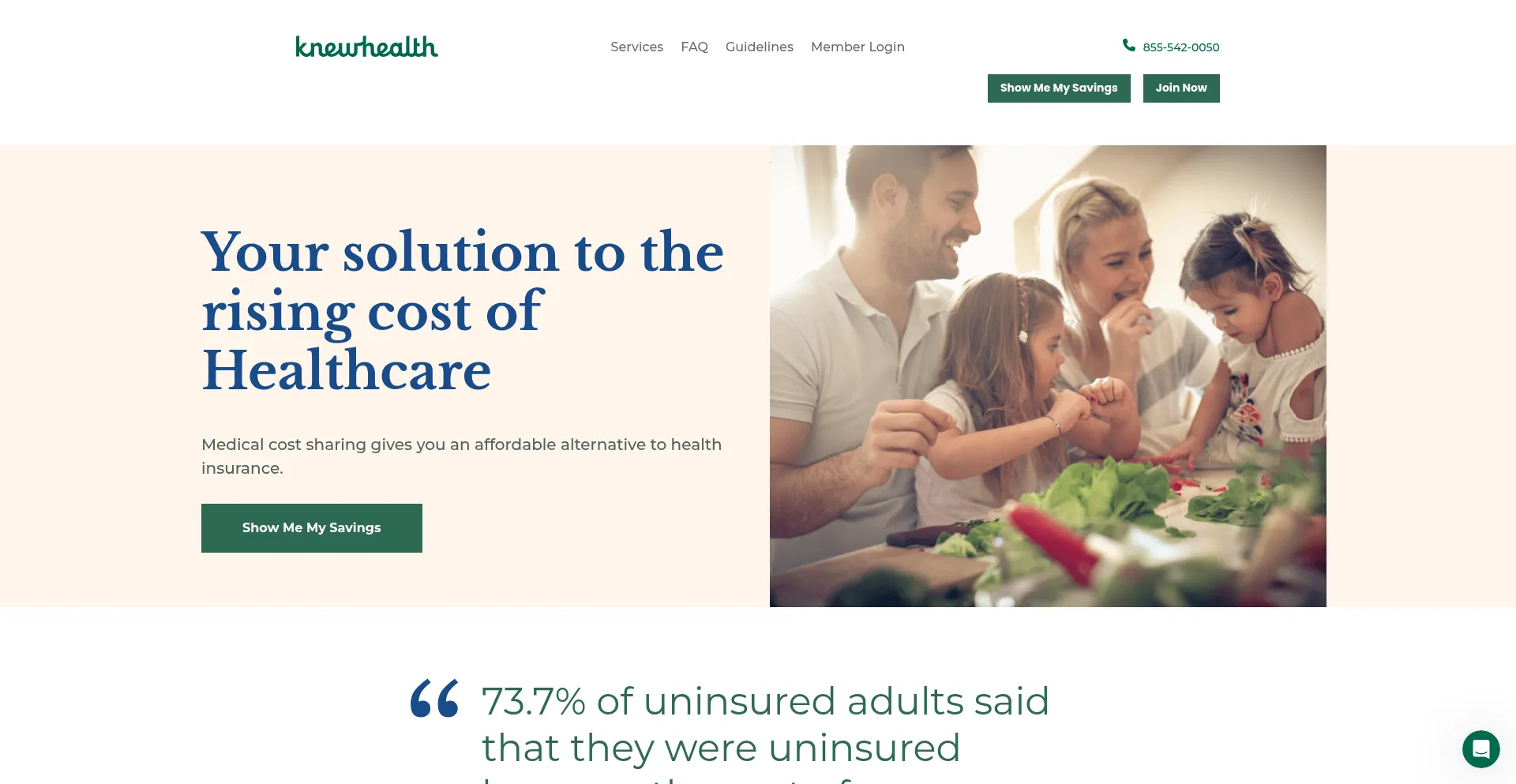 Website screenshot of Knewhealth.com