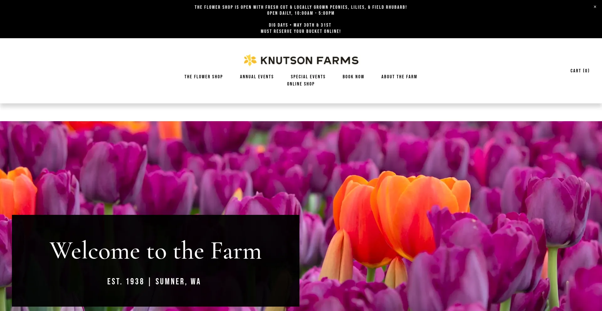 Website screenshot of Knutsonfarmsinc.com