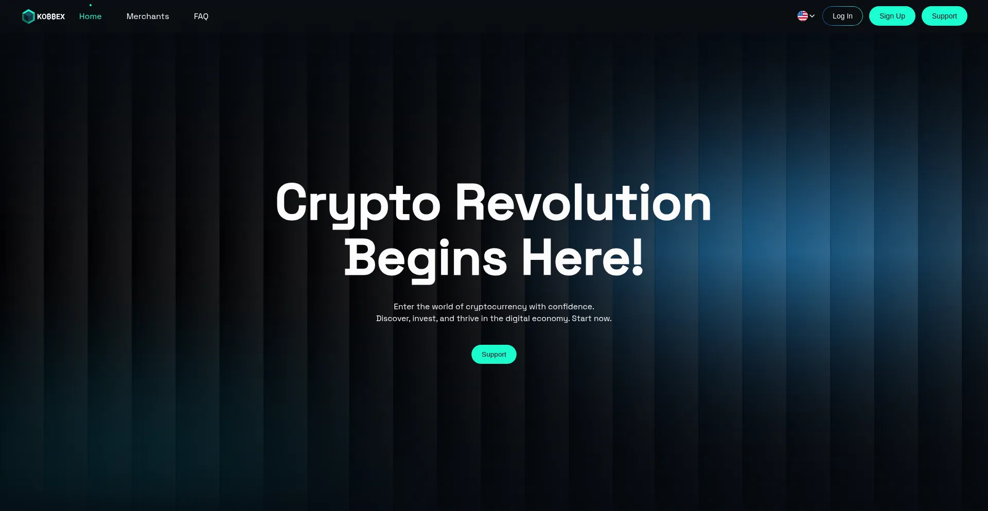 Website screenshot of Kobbex.com