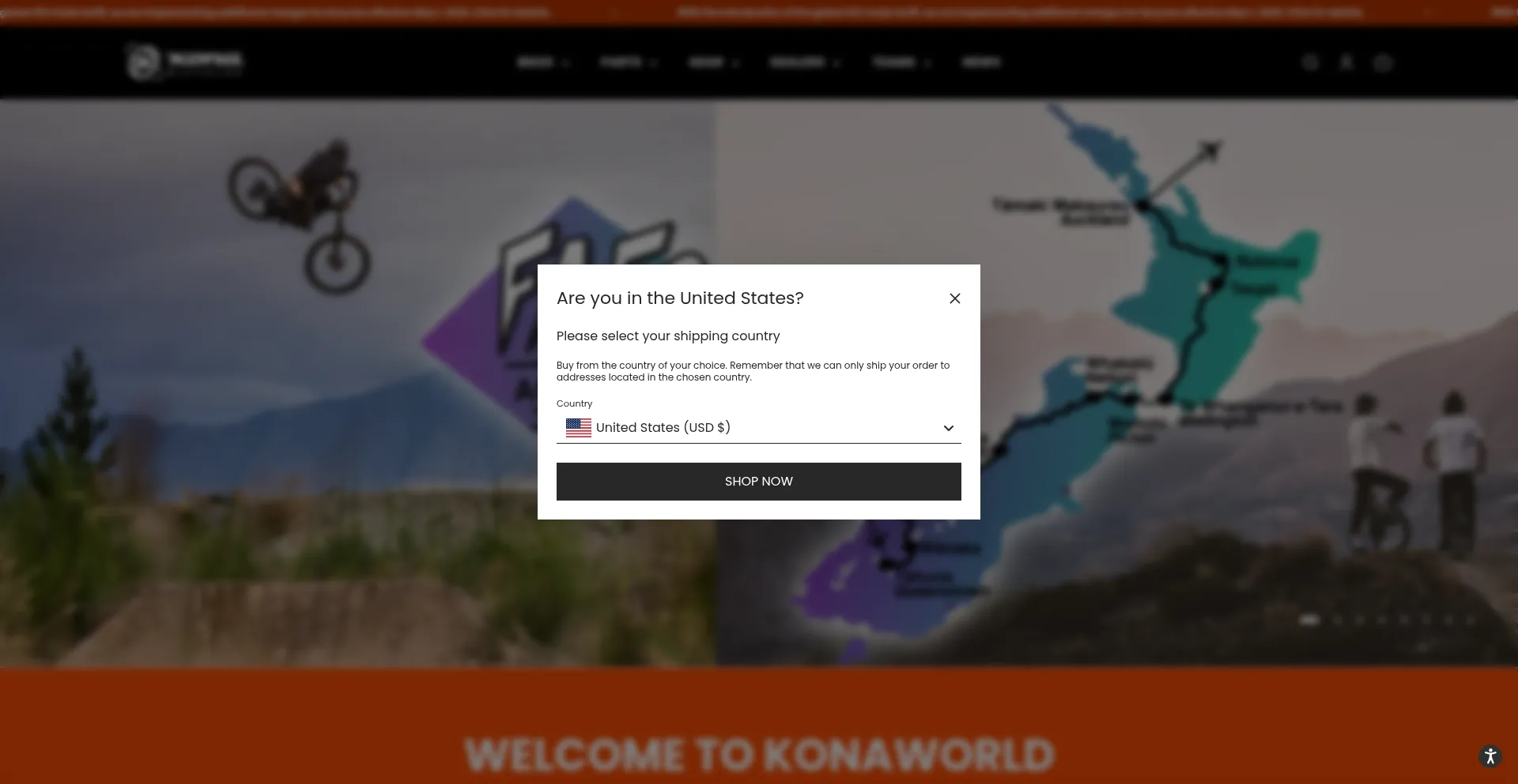 Website screenshot of Konaworld.com