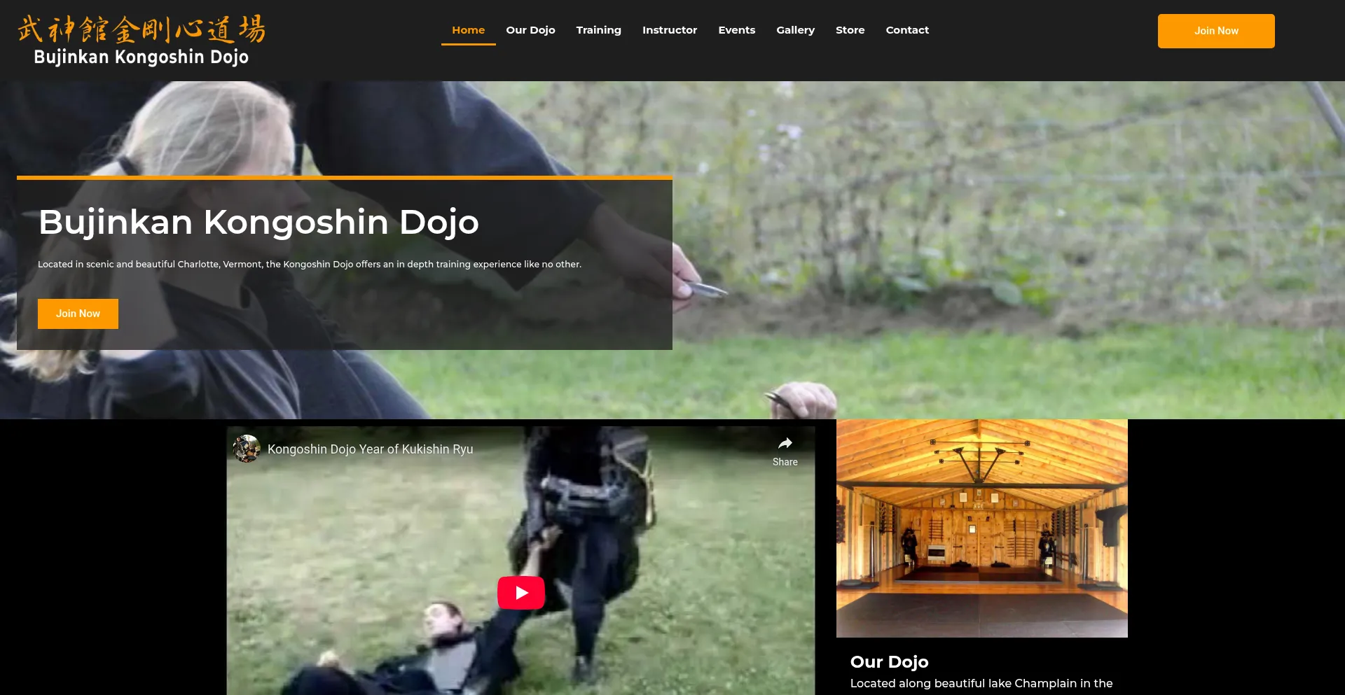 Website screenshot of Kongoshindojo.com
