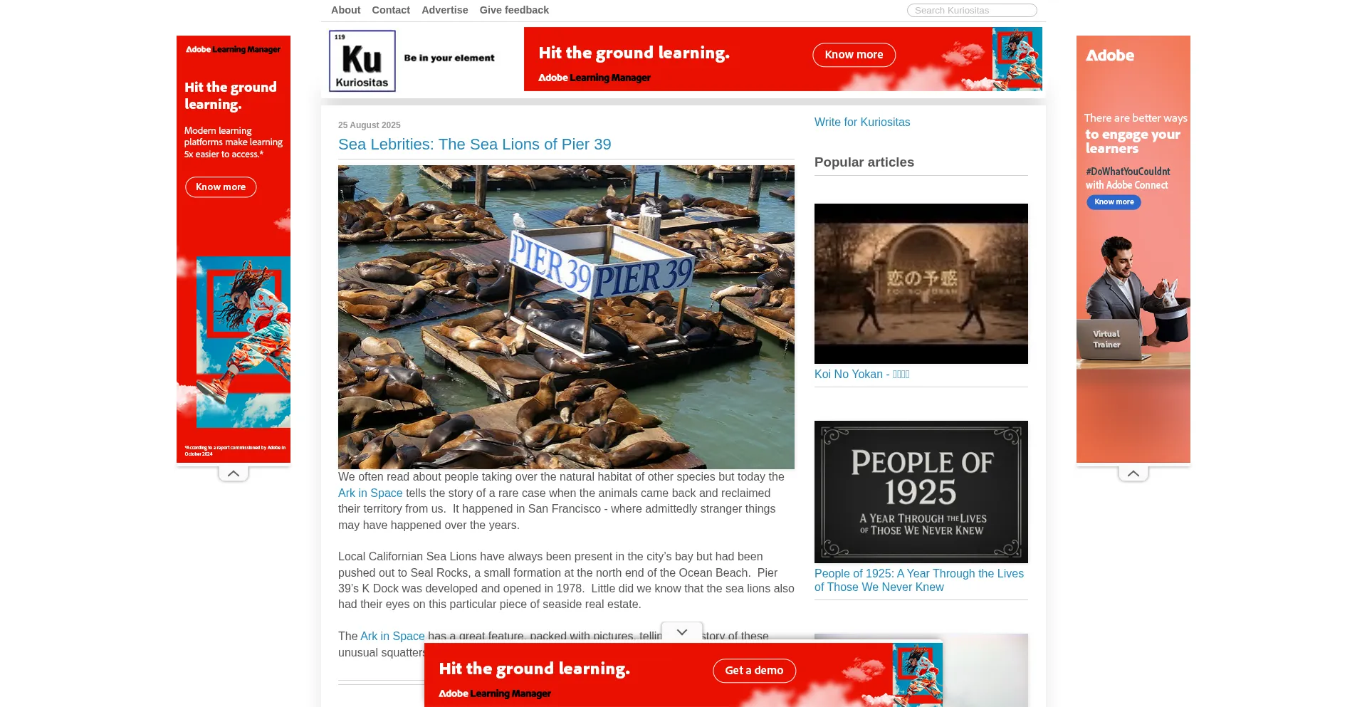Website screenshot of Kuriositas.com