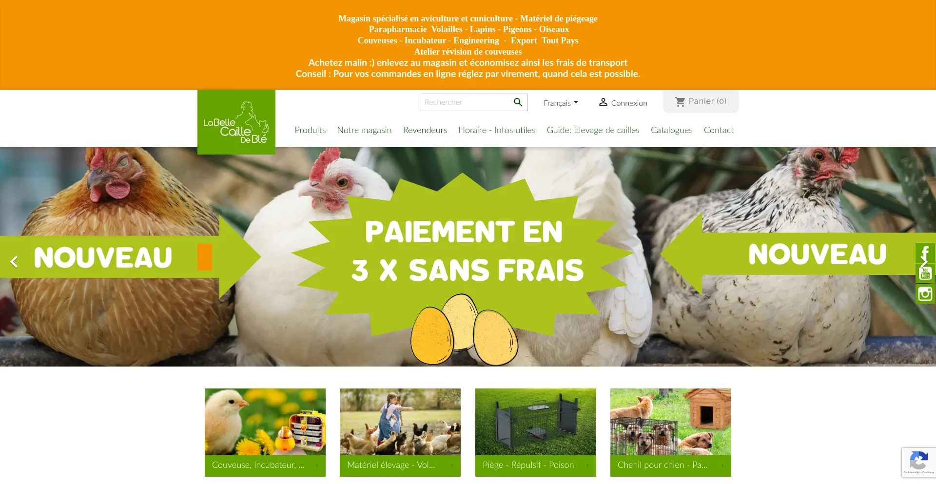 Labellecaille.com