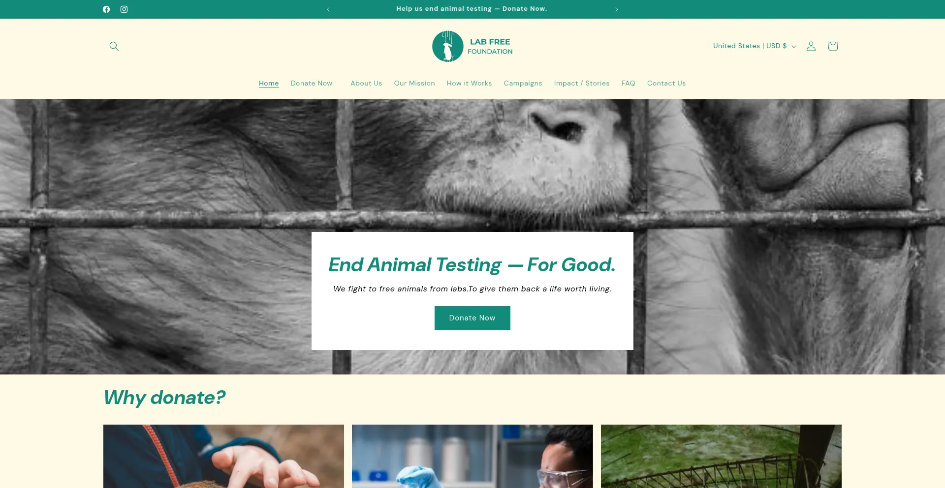 Website screenshot of Labfreefoundation.org