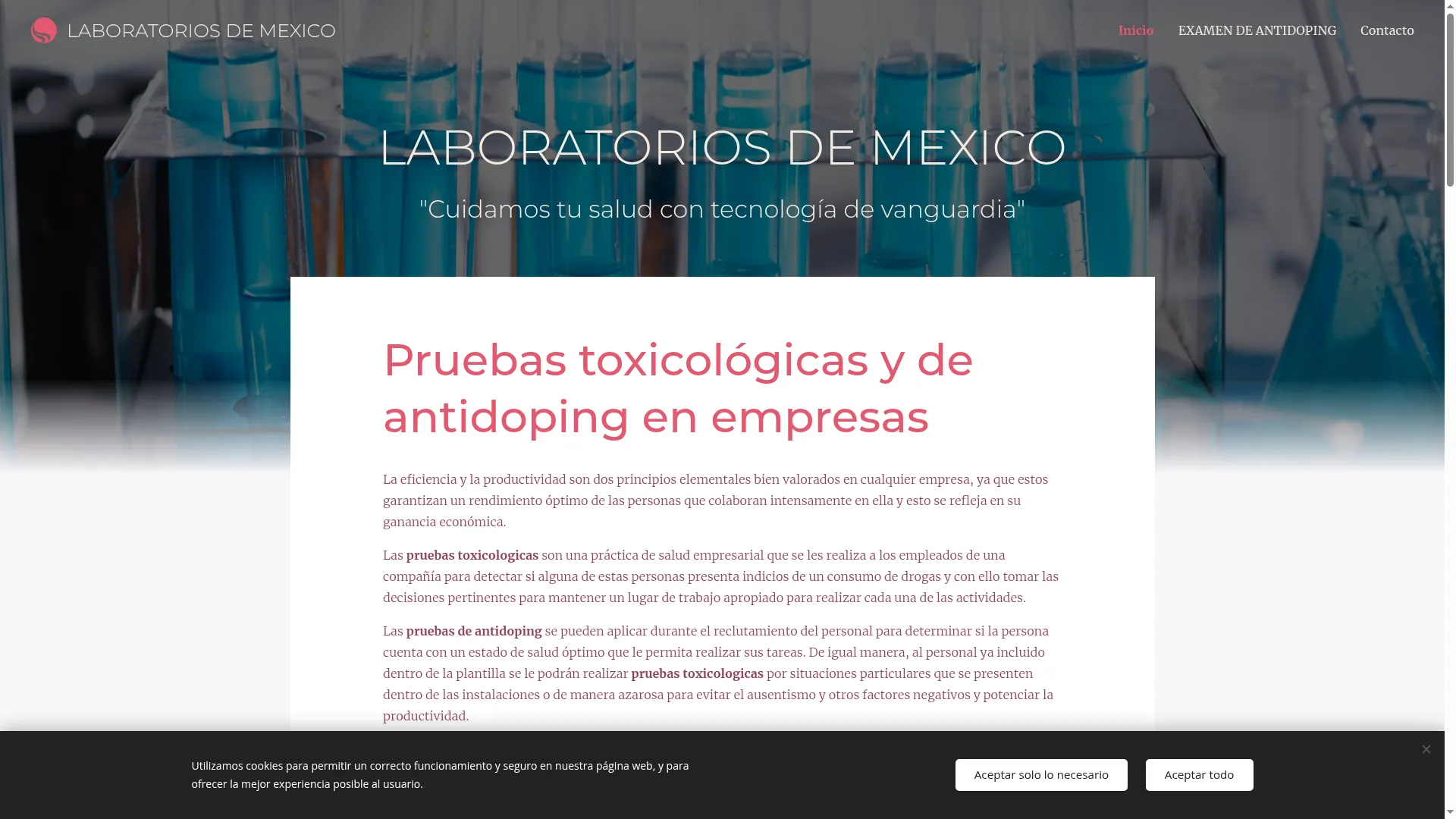 Labortexme.webnode.mx