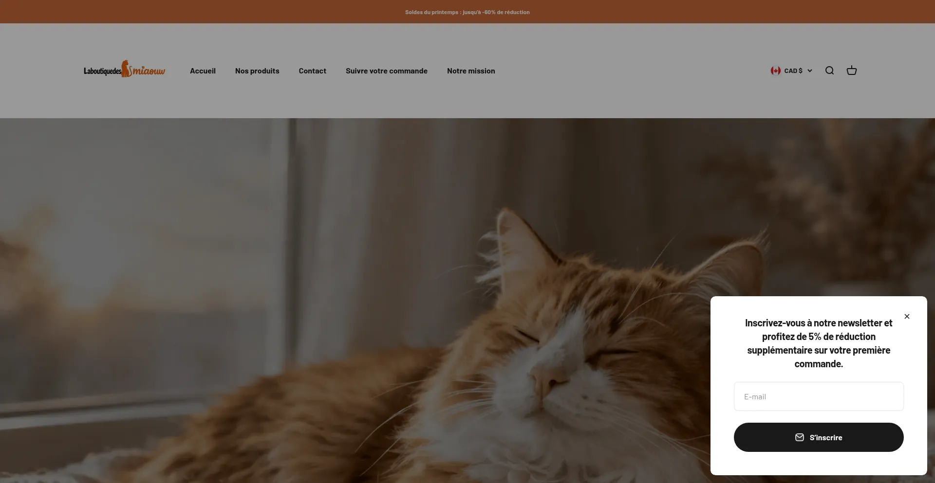 Laboutiquedesmiaouw.com