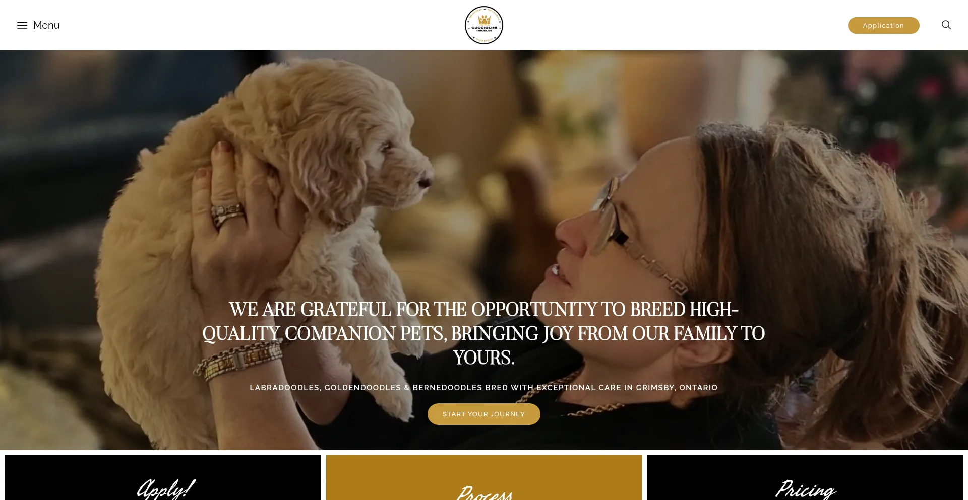 Website screenshot of Labradoodlesbycucciolini.ca