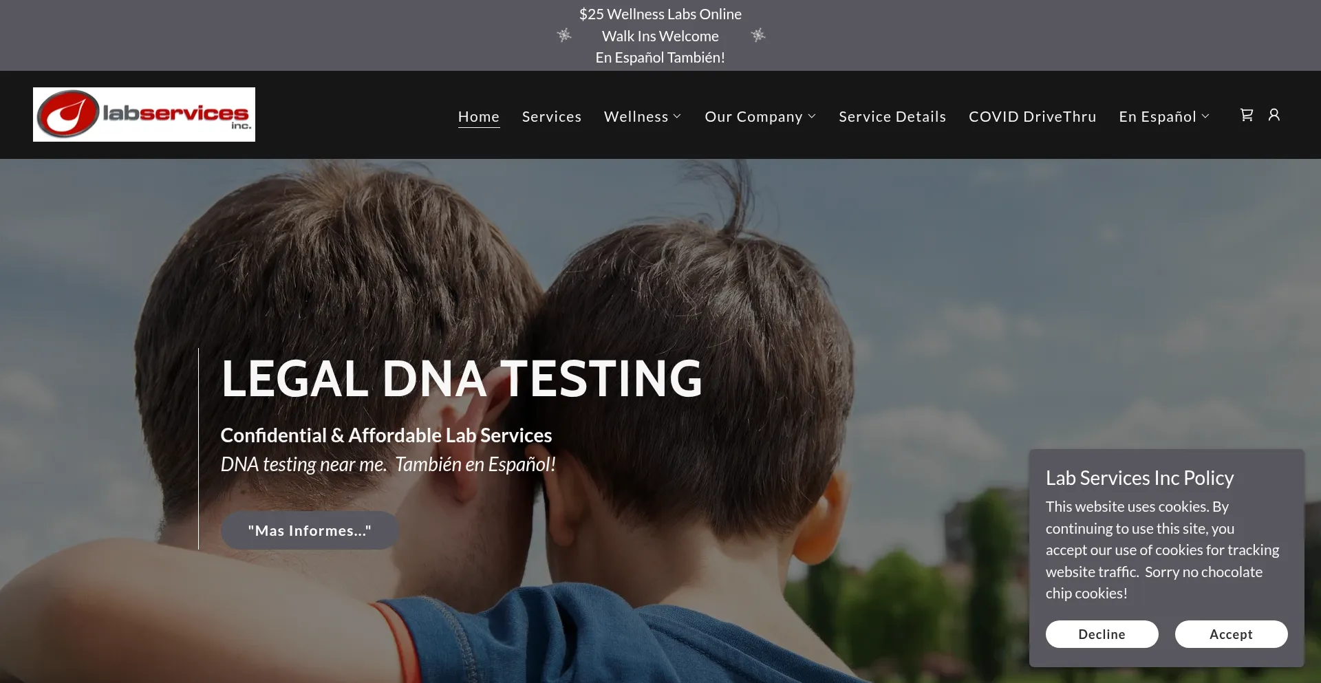 Website screenshot of Labservicesinc.com