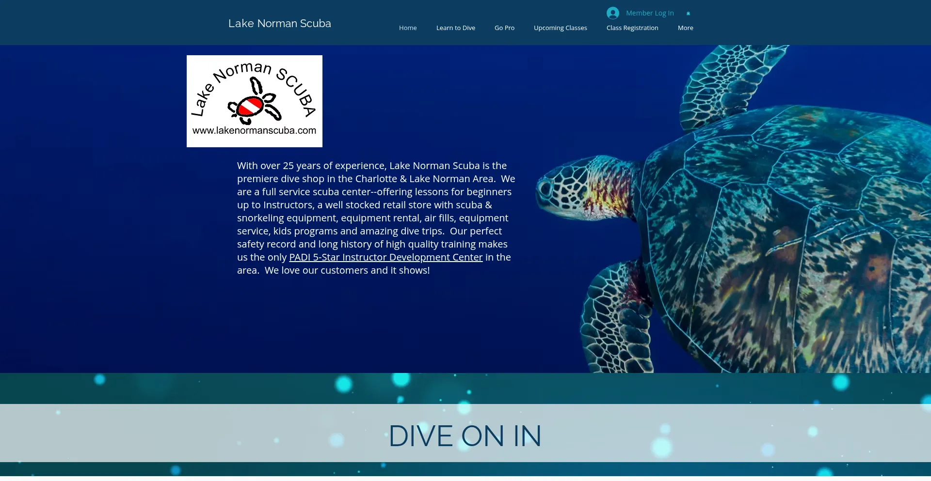 Website screenshot of Lakenormanscuba.com
