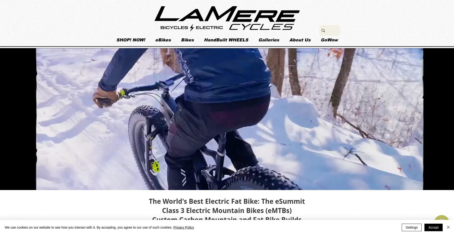 Website screenshot of Lamerecycles.com