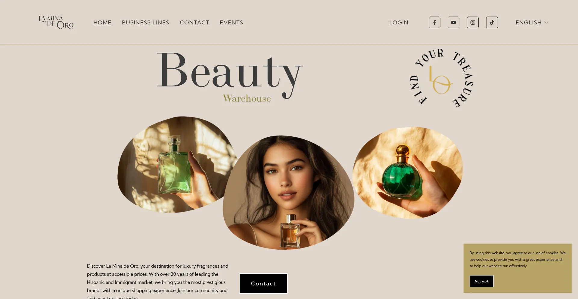 Website screenshot of Laminadeoro.com