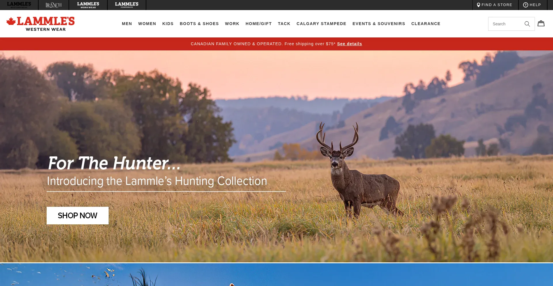 Website screenshot of Lammles.com