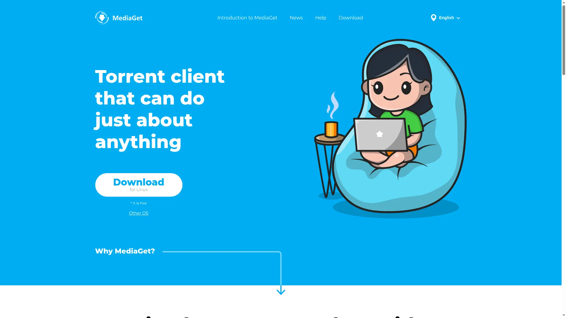 Land.mediaget.com