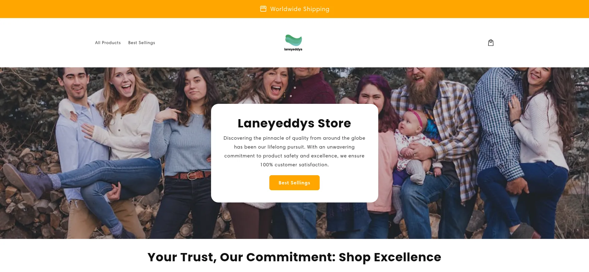 Website screenshot of Laneyeddysstore.com
