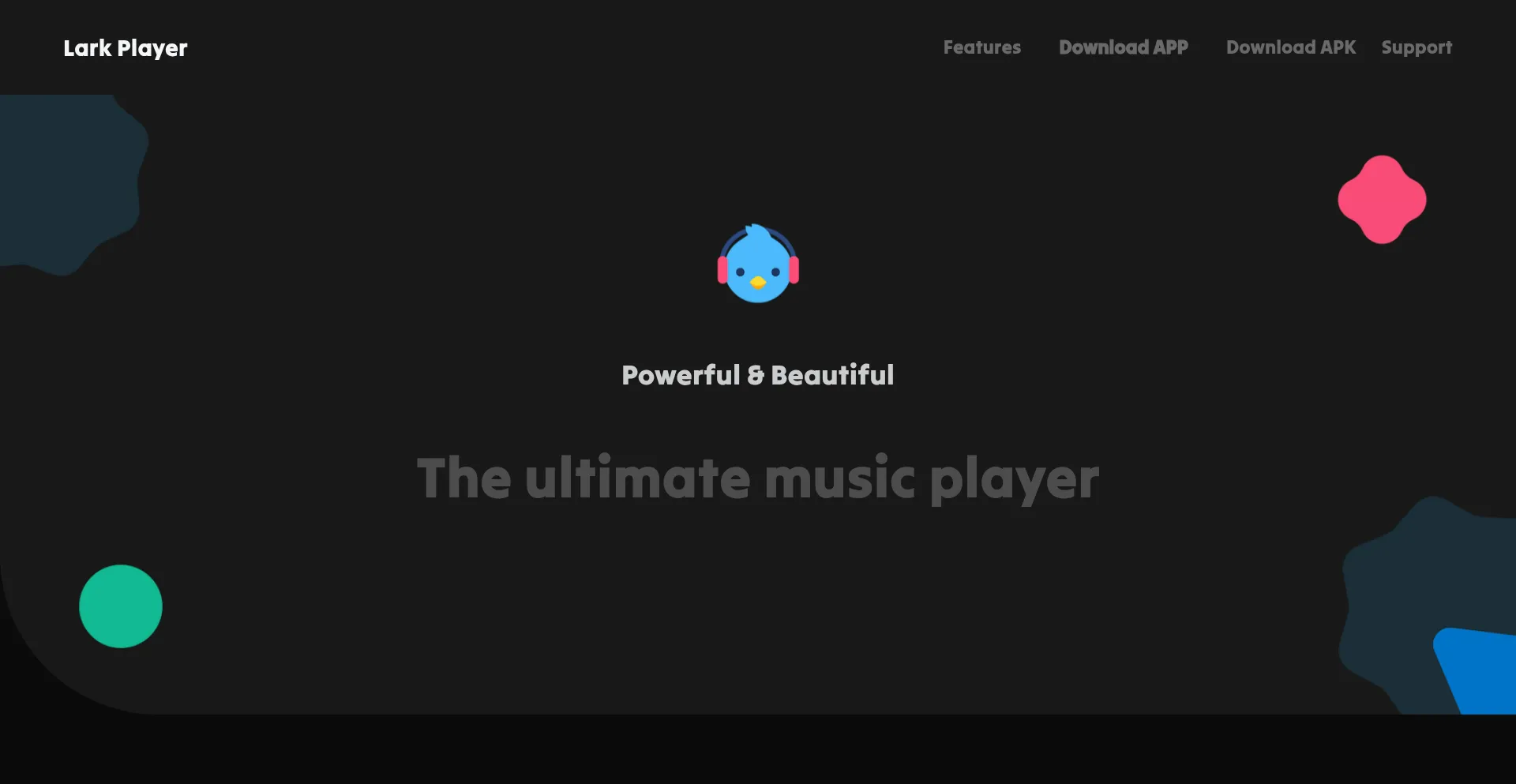 Website screenshot of Larkplayer.com