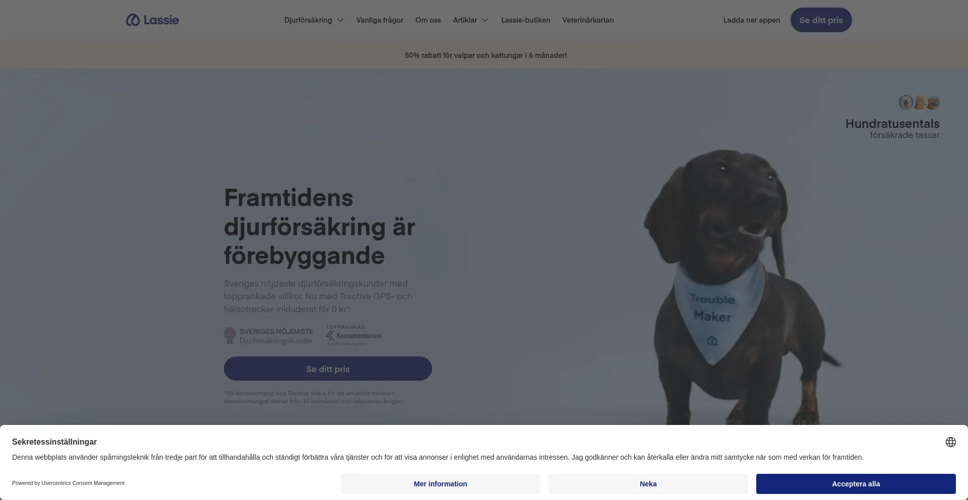 Website screenshot of Lassie.co