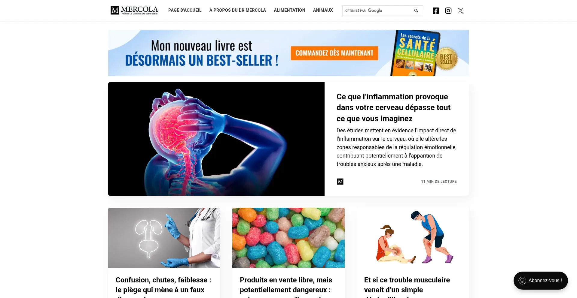 Website screenshot of Lavieensante.com