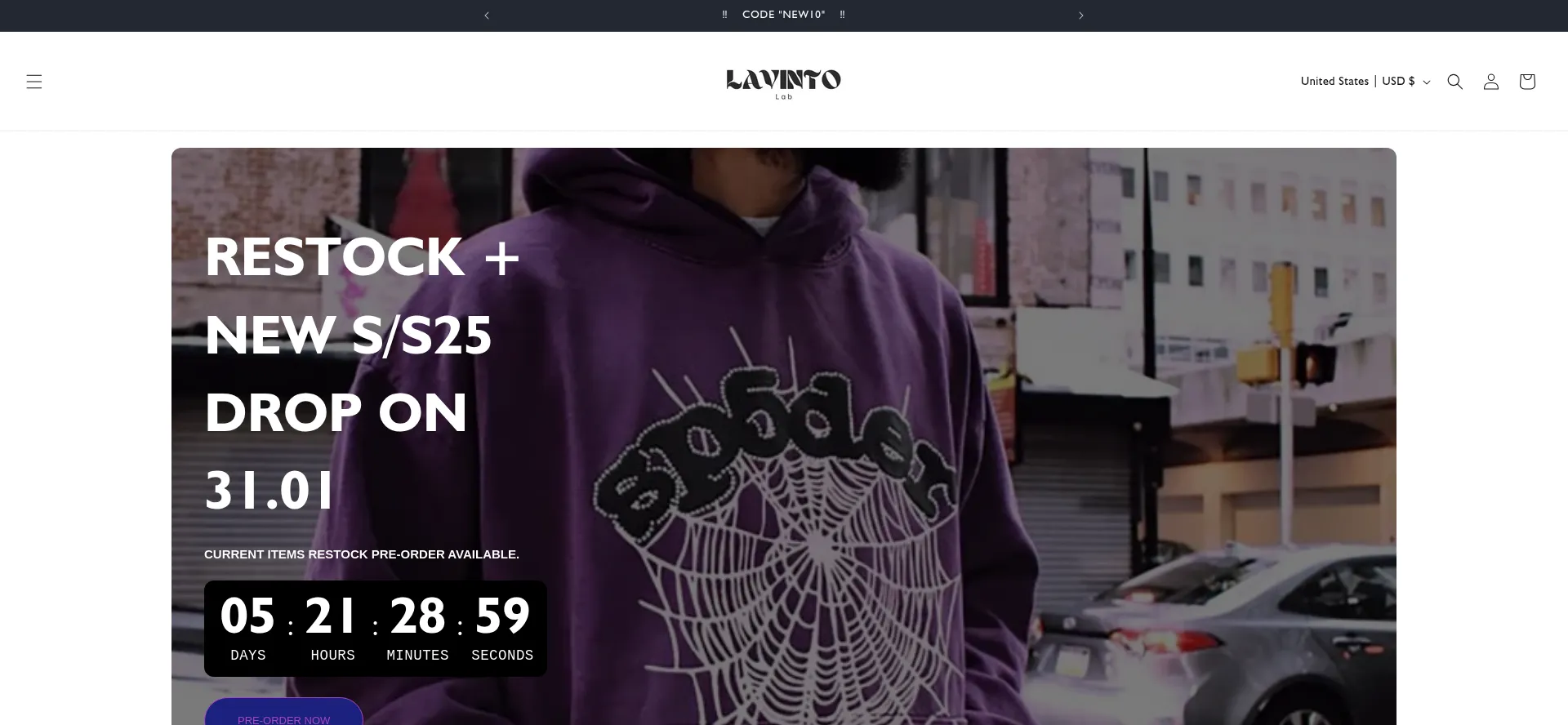Website screenshot of Lavintolab.com