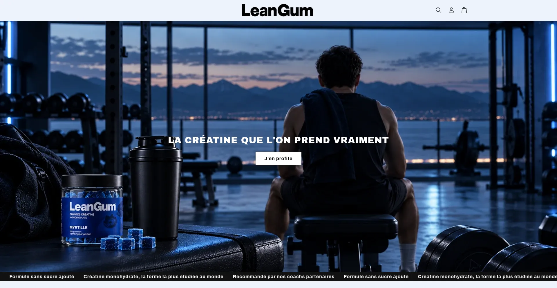 Leangum.fr