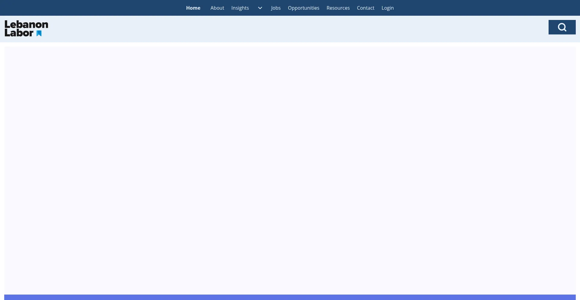 Website screenshot of Lebanonlabor.com