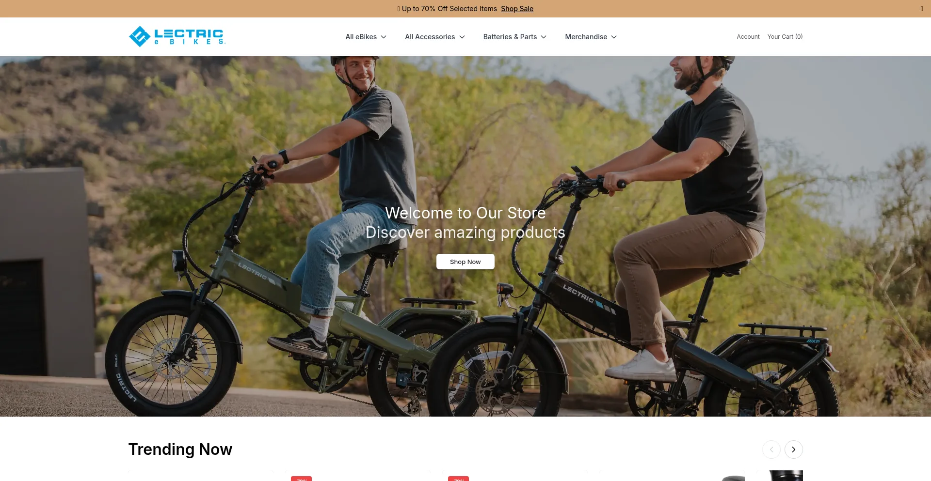 Lectricebikesstore.shop