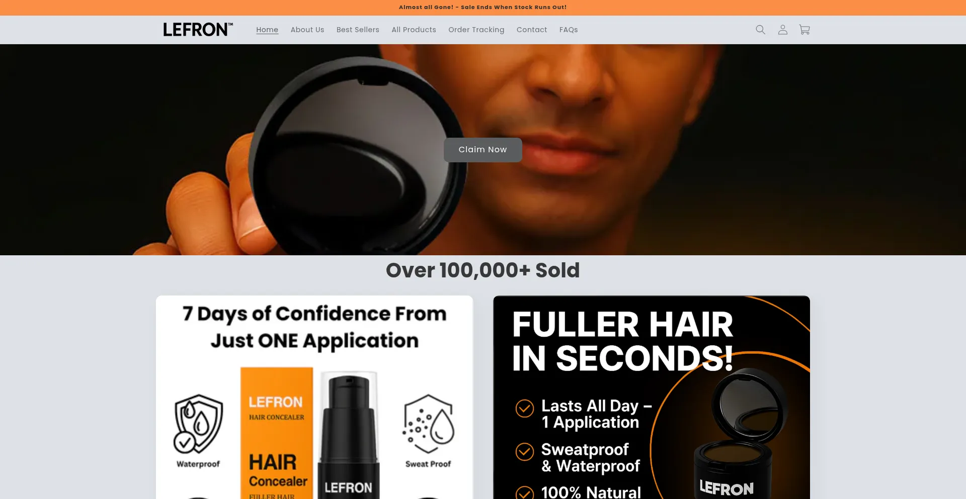 Website screenshot of Lefron.com