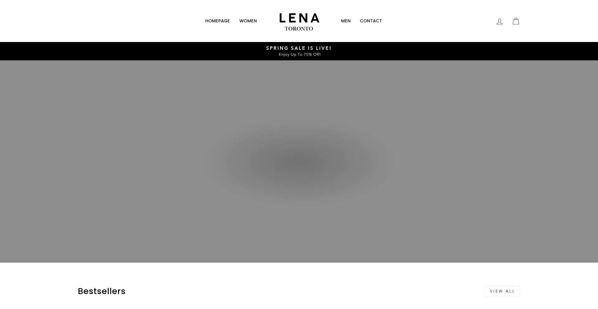 Website screenshot of Lenatoronto.com