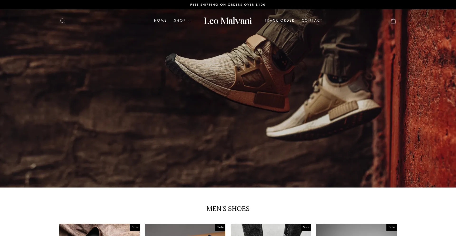 Website screenshot of Leomalvani.com