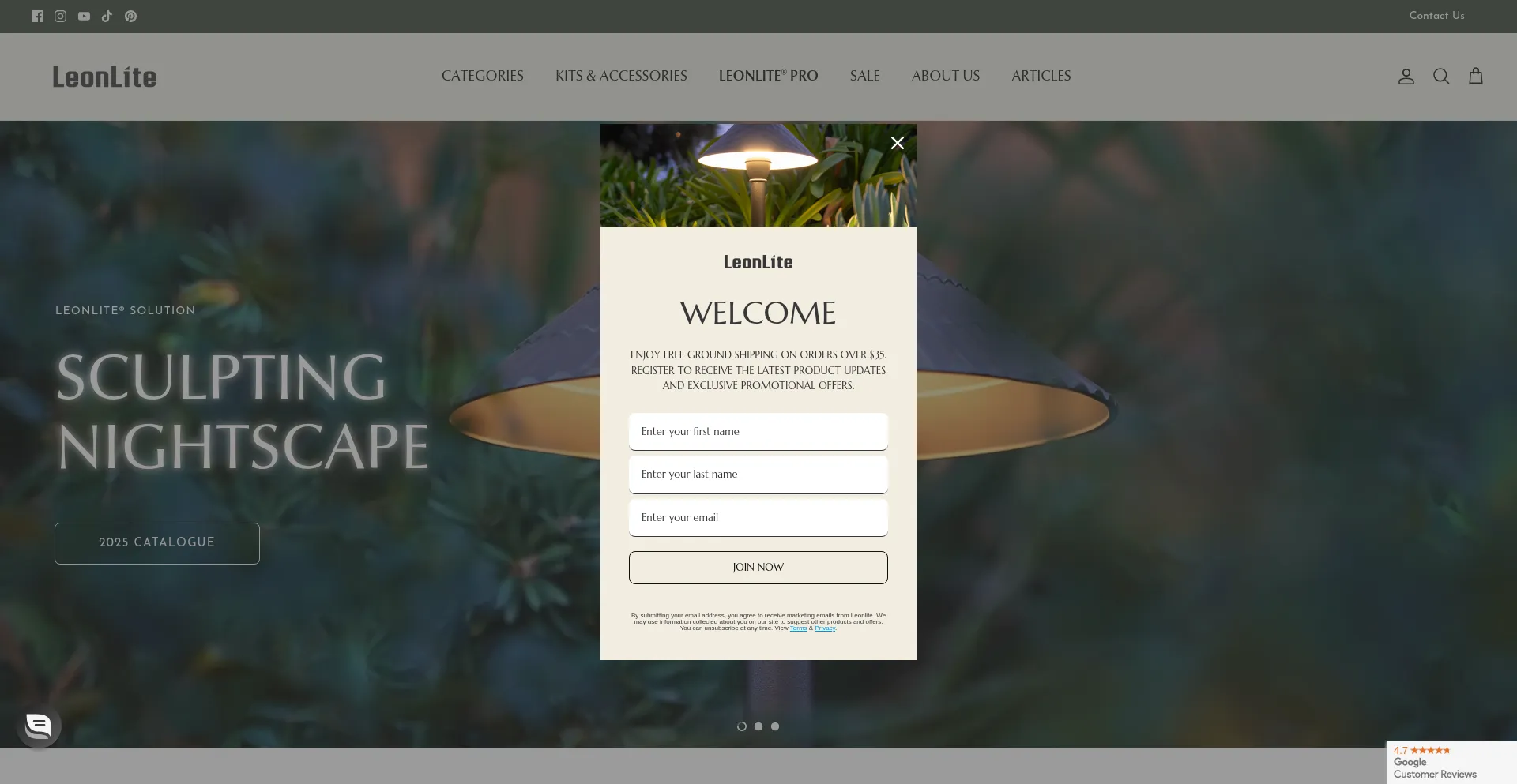 Website screenshot of Leonlite.com