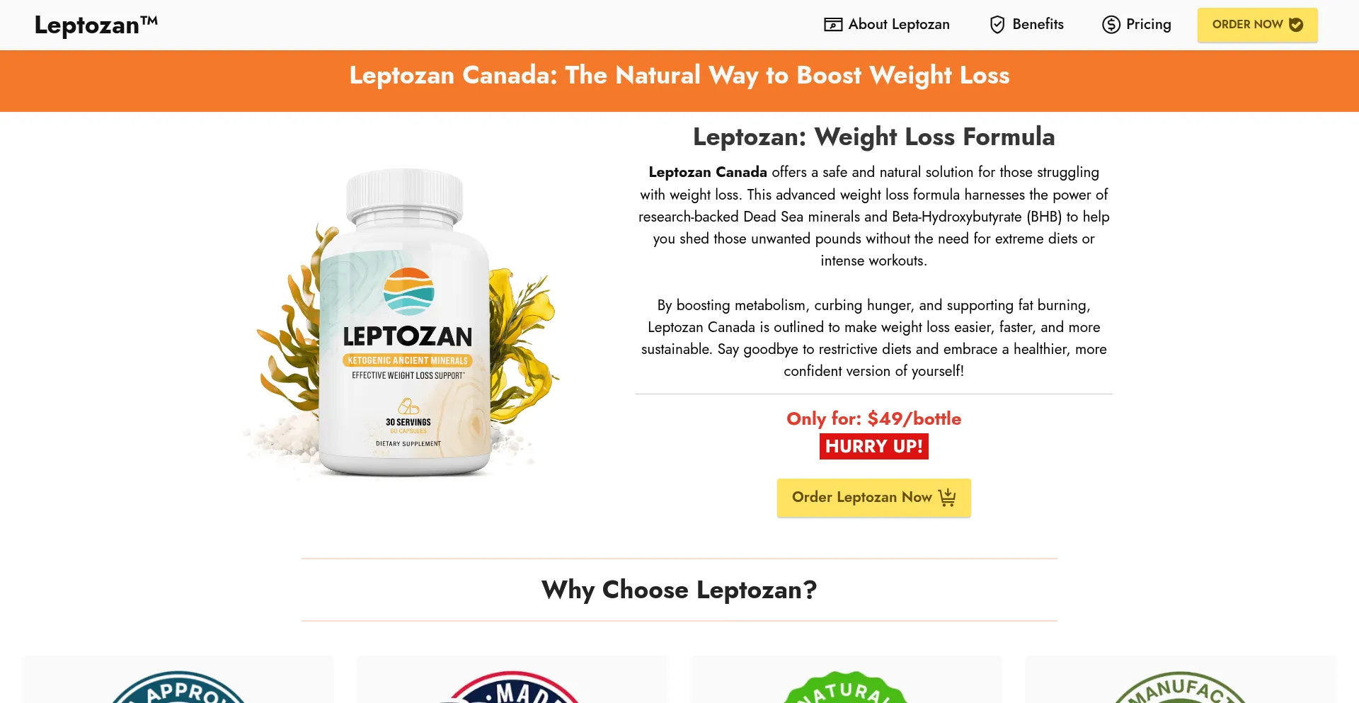 Website screenshot of Leptozan-ca.ca