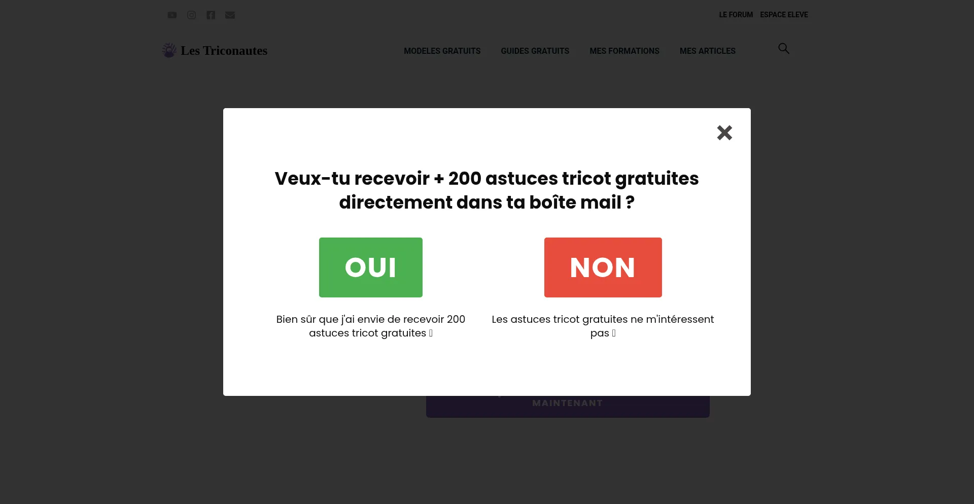 Lestriconautes.com