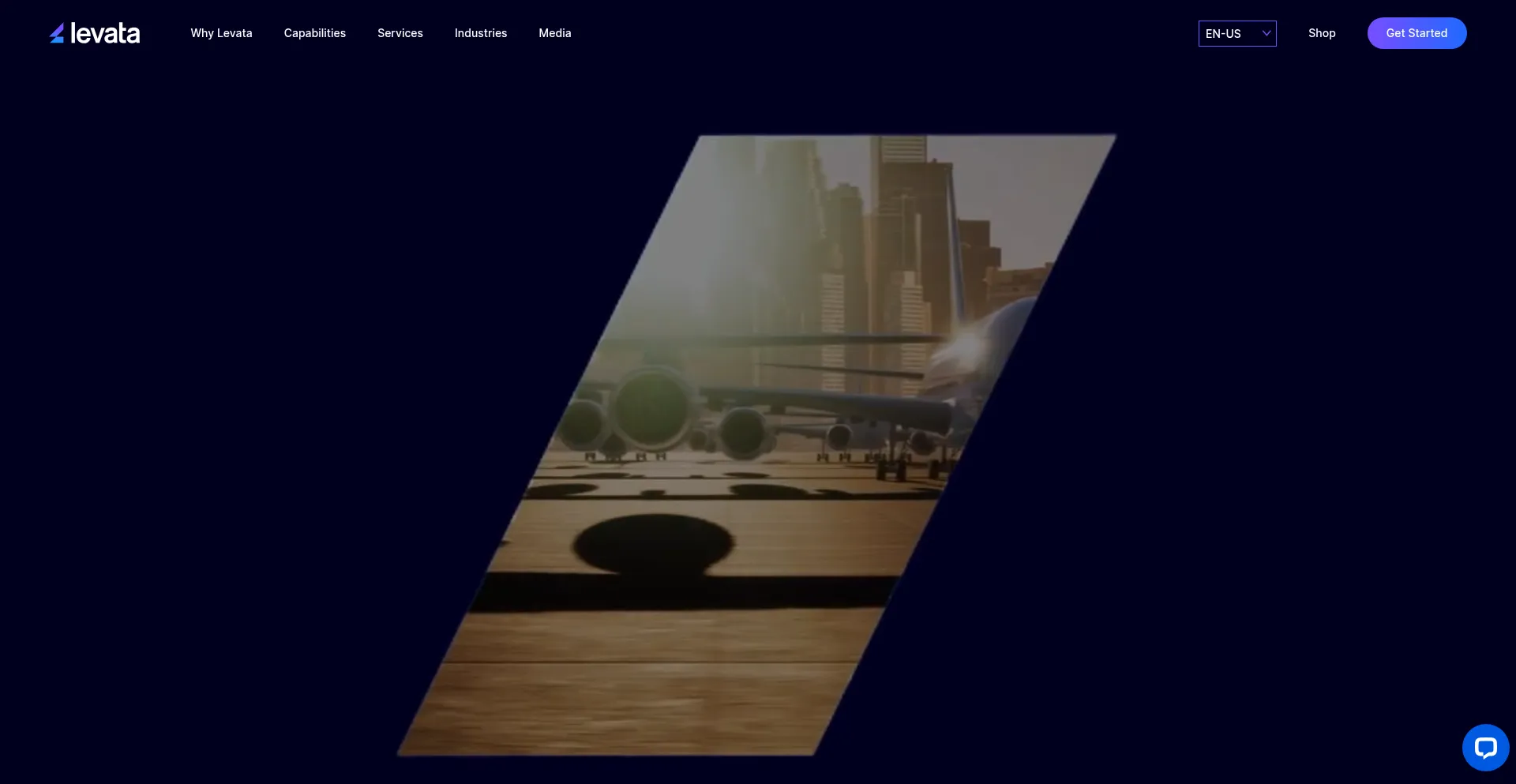 Website screenshot of Levata.com