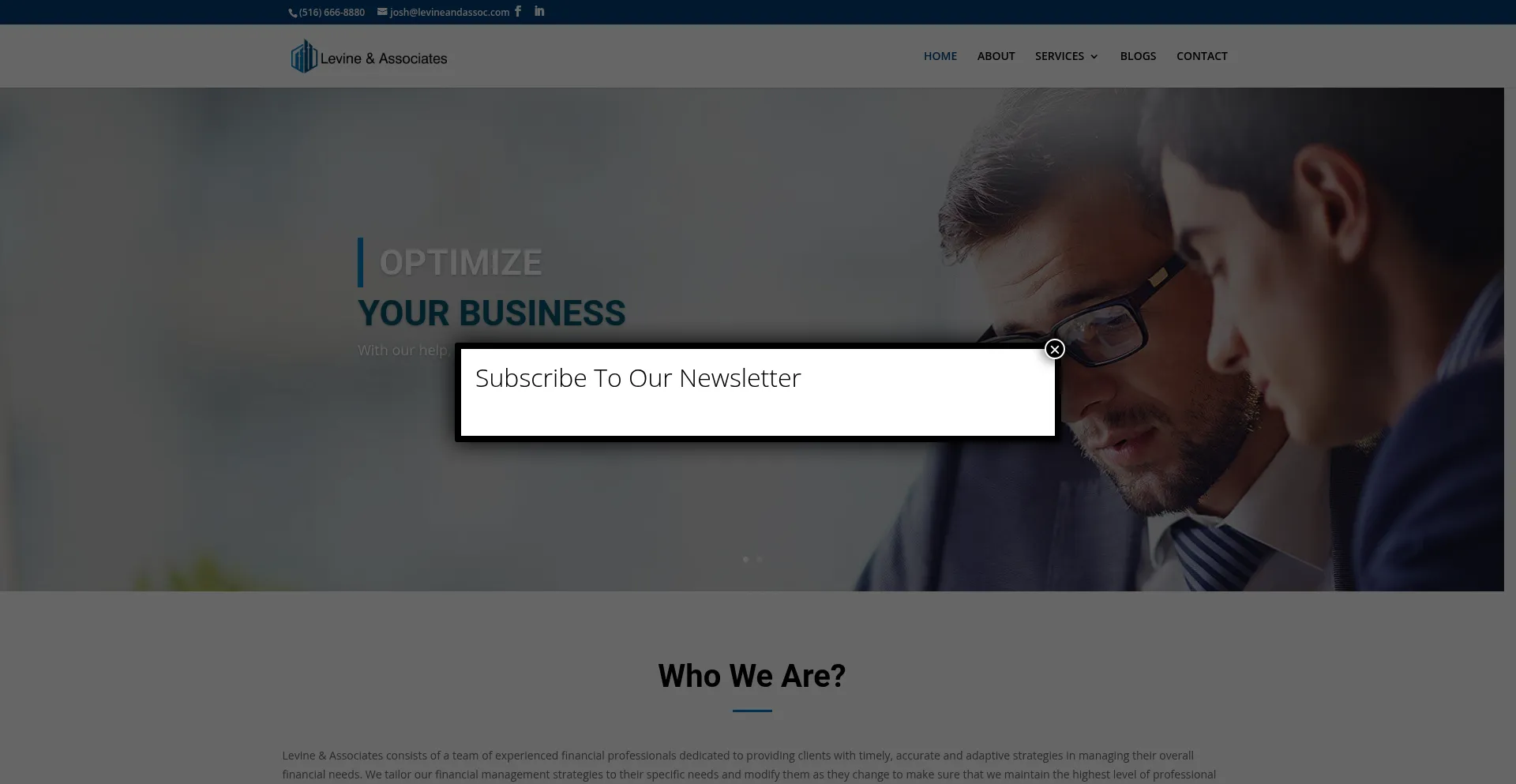 Website screenshot of Levineandassoc.com